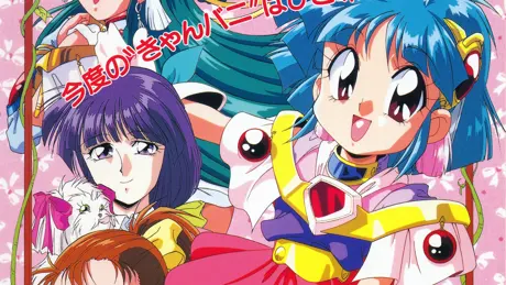 きゃんきゃんバニー リミテッド5 1/2