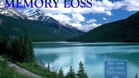 Memory Loss