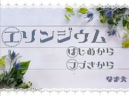 エリンジウム