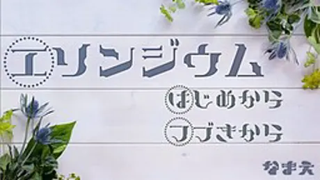 エリンジウム