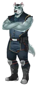 Zed Bhatinho