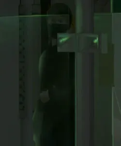 特里