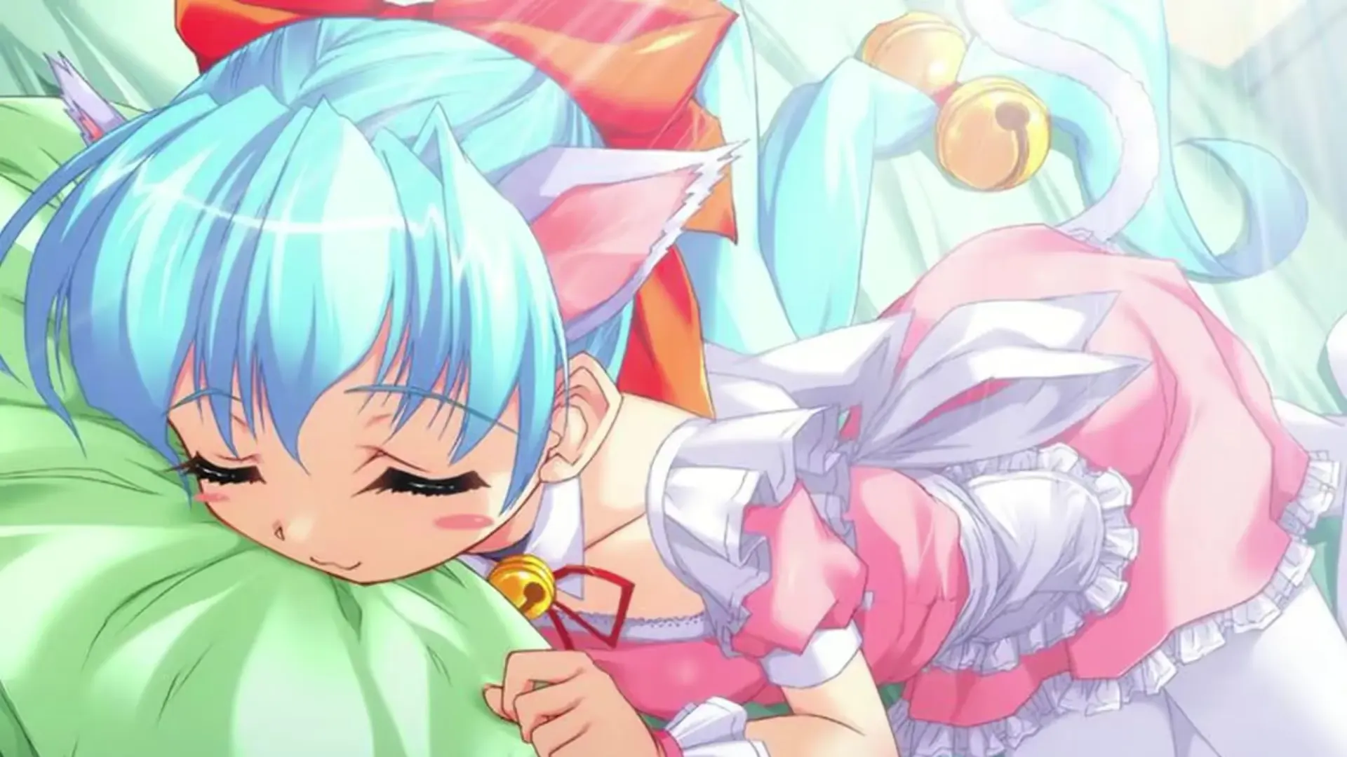 にゃんこのしつけ