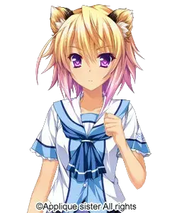 屏風 てとら