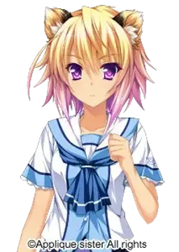 屏風 てとら