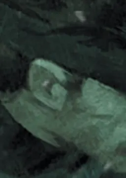 Solid Snake