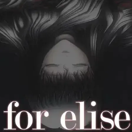 for elise ~致爱丽丝~
