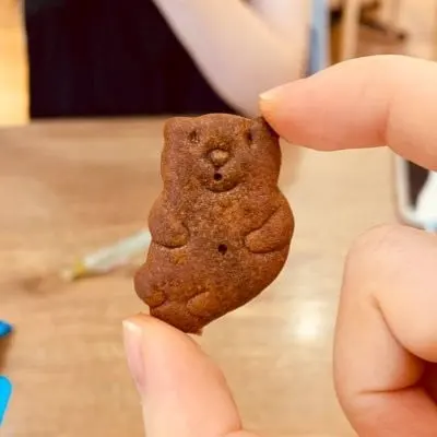 碓氷珊瑚