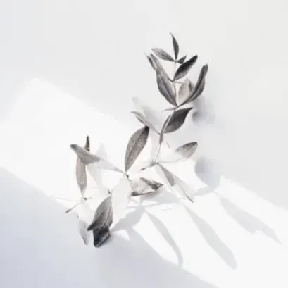 纯爱鉴定师
