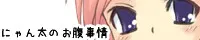 にゃん太のお腹事情