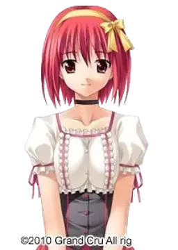 椎野契