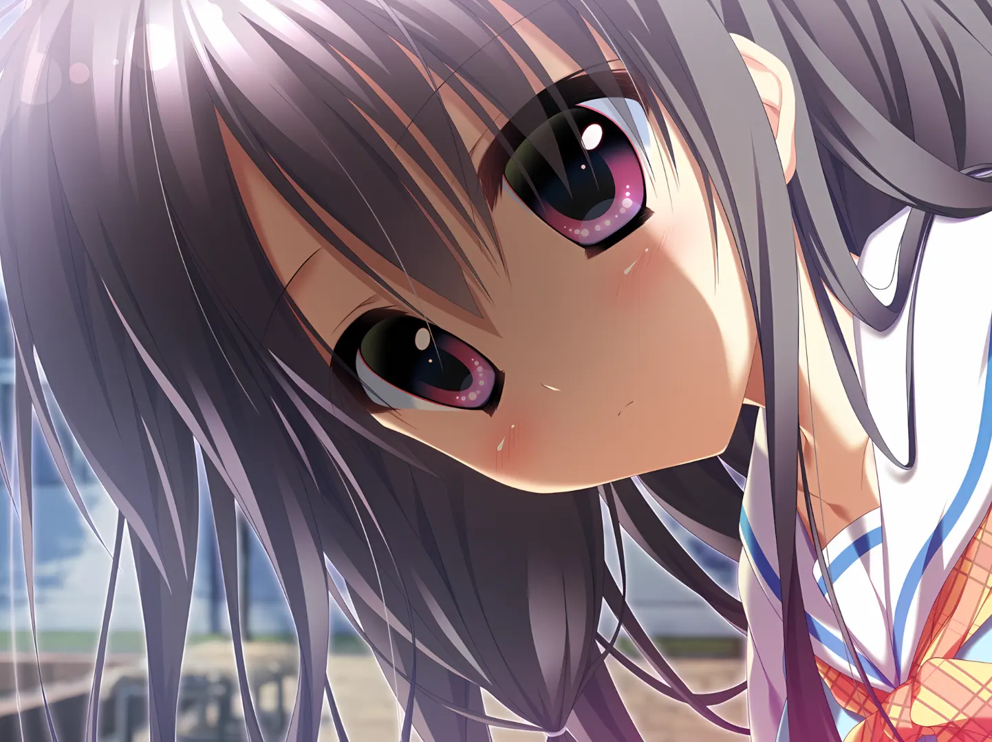SuZui