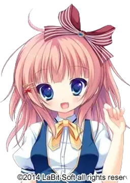 和泉 素直