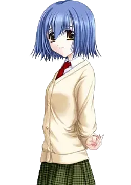 双木葵