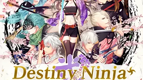 Destiny Ninja 2+