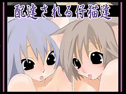 被配送的小猫们