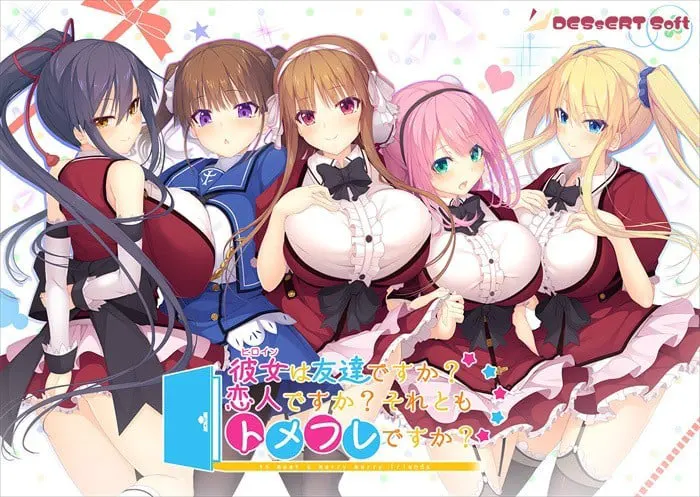 彼女(ヒロイン)は友達ですか？恋人ですか？それともトメフレですか？