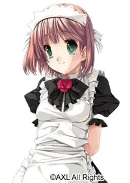 立花 ひより