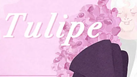 Tulipe