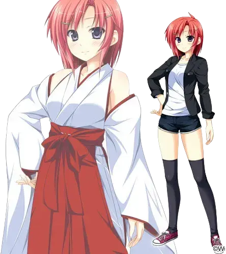 秋叶由唯