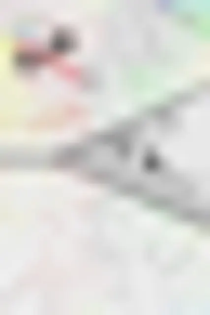 你与选择