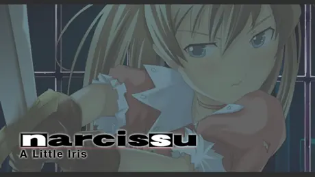 Series Banner 3