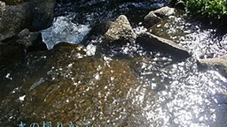 水の揺りかご