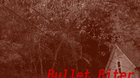 Bullet Biter