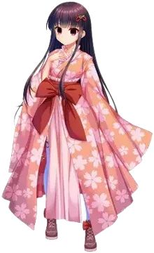 月白樱花