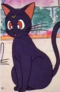 露娜