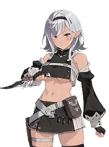 シューケット