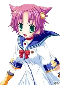 千賀 成美