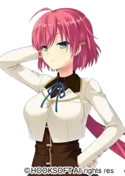 藤堂 望希