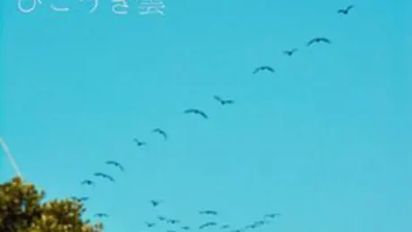 ひこうき雲