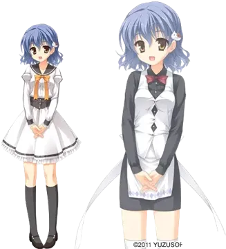 大房妃叶里