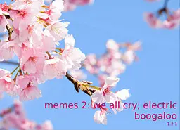Memes 2 - We All Cry: Electric Boogaloo