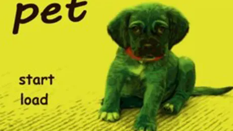 pet