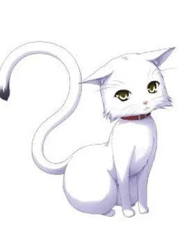 ミルフィ
