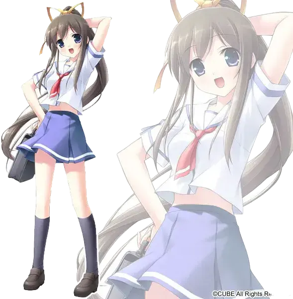 宮沢 翠