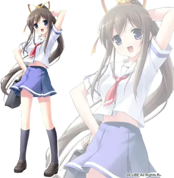 宮沢 翠