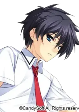 蟹泽蛹