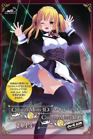 カスタムメイド3D スキルパック2 2013