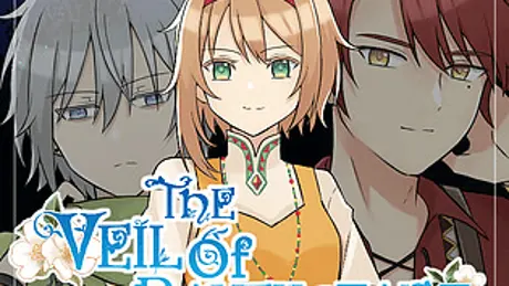 The Veil of Ravenstadt