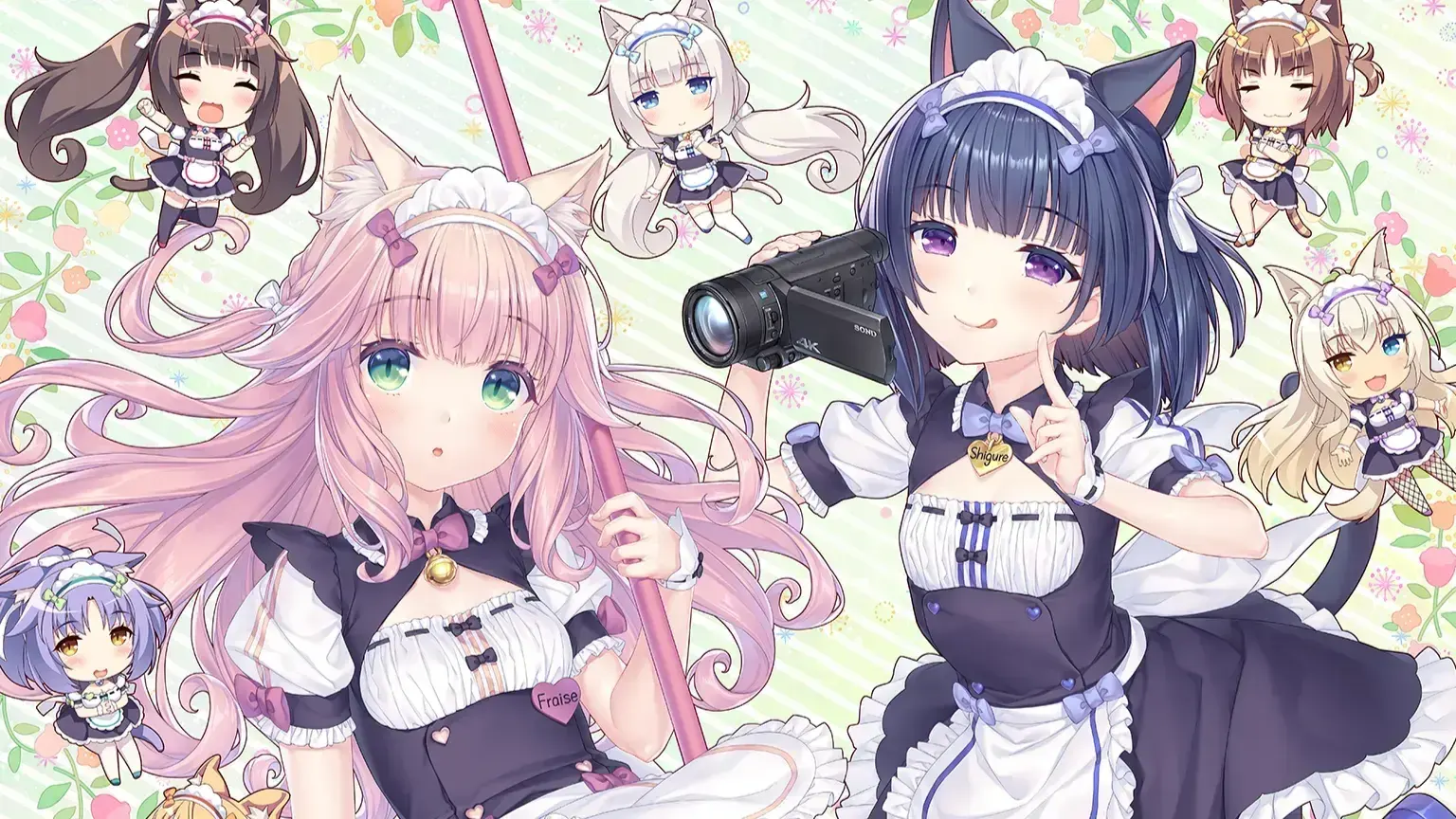 猫娘乐园 After