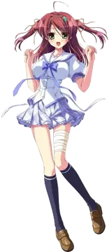 皆川翠