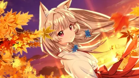 Fox Hime
