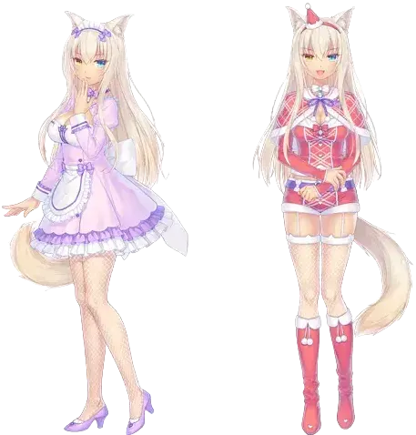 ココナッツ