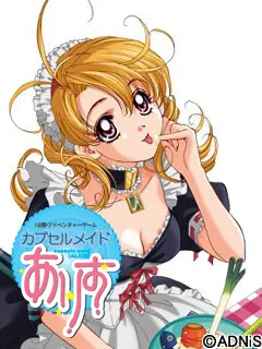 カプセルメイドありす
