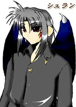 シュラウム・イルミナート