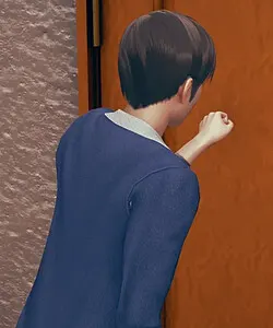 弗兰克